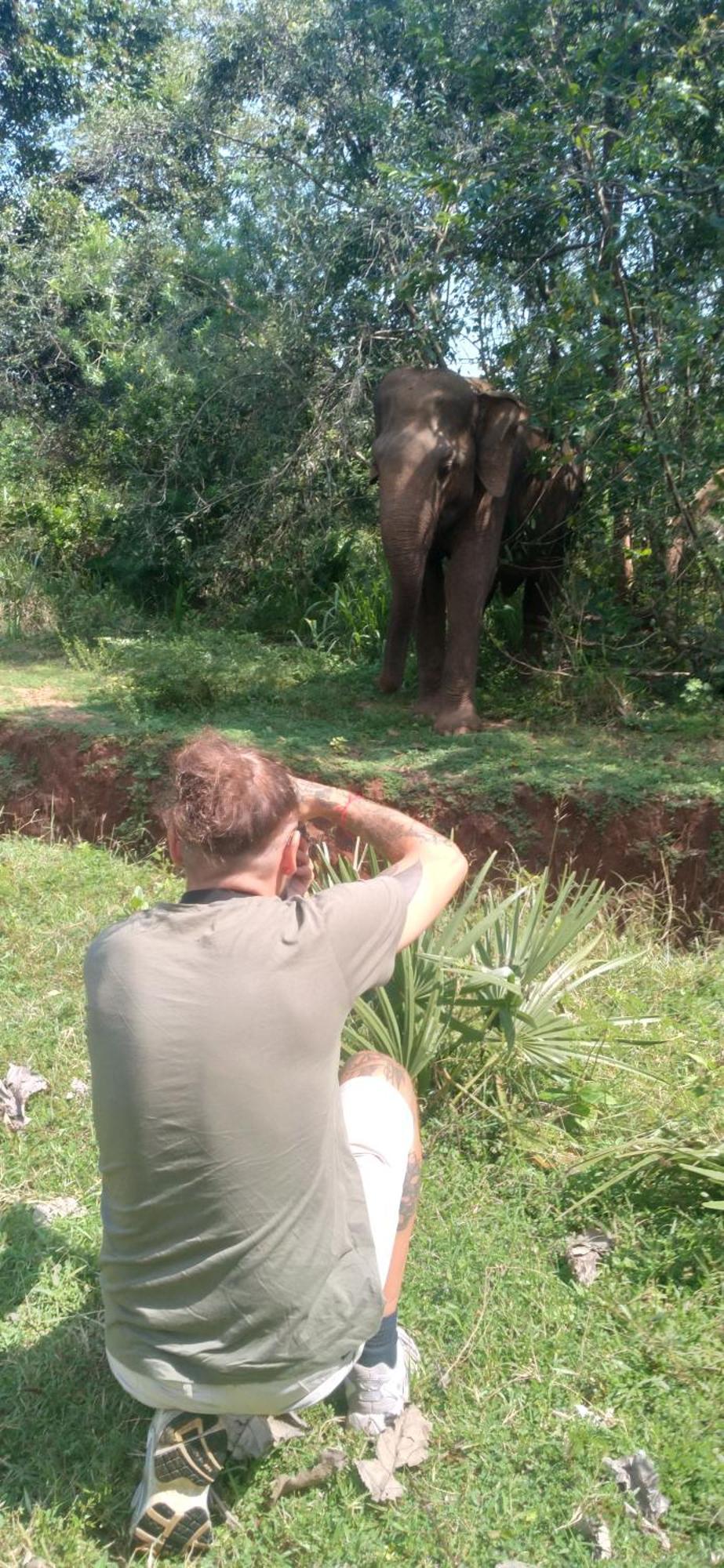 Safari Horizon Udawalawe Bed & Breakfast エクステリア 写真