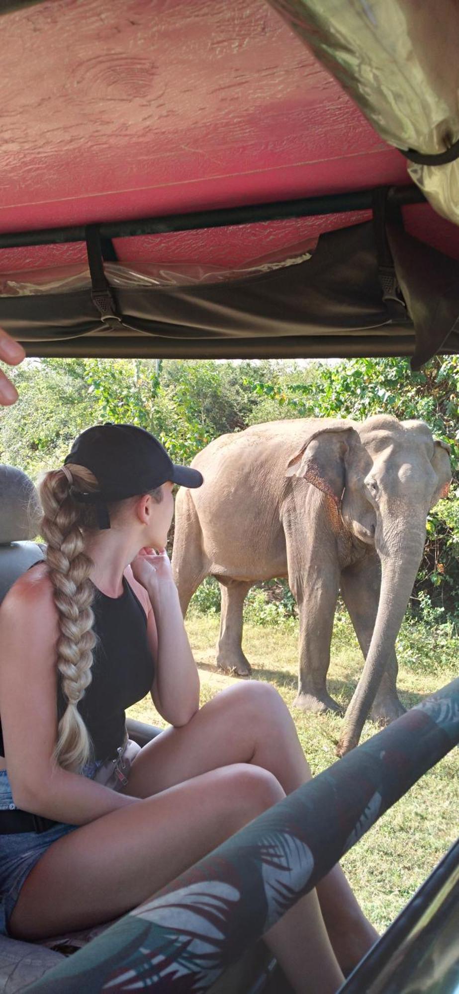 Safari Horizon Udawalawe Bed & Breakfast エクステリア 写真