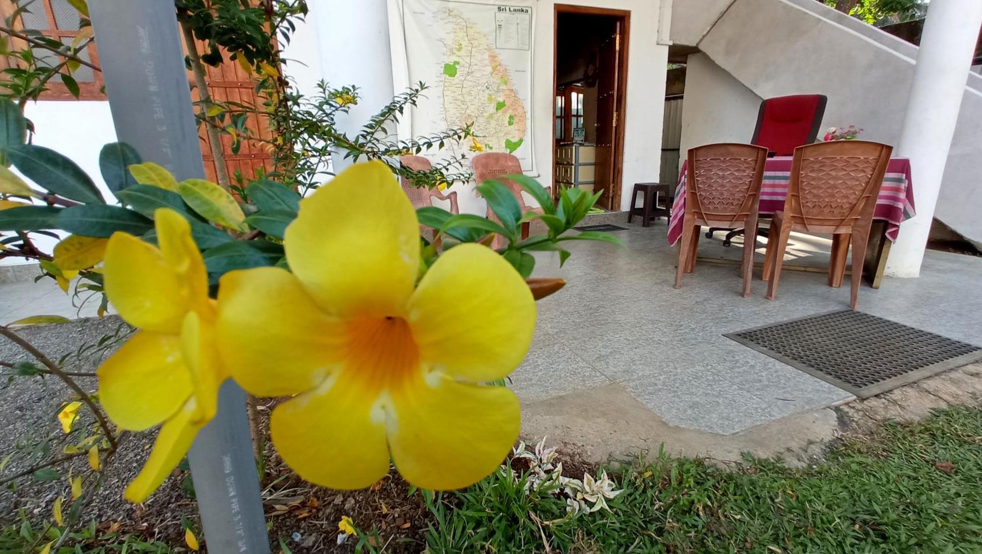 Safari Horizon Udawalawe Bed & Breakfast エクステリア 写真