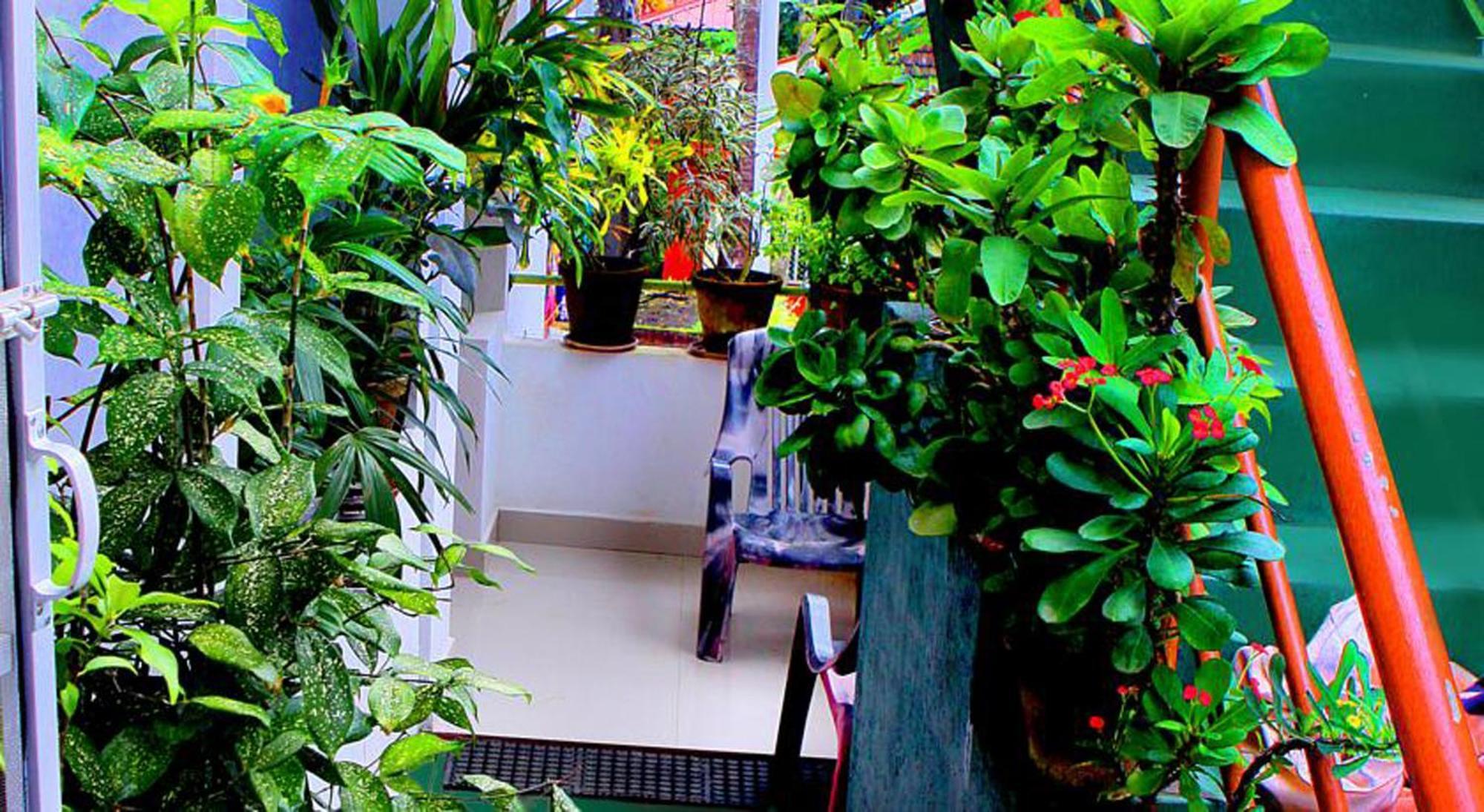 Safari Horizon Udawalawe Bed & Breakfast エクステリア 写真